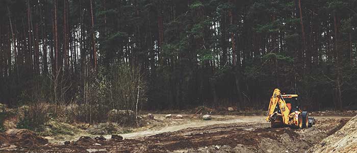 Safe work method statement for tree felling and tree removal template